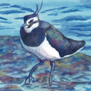 Mixed media painting of a lapwing on the water's edge