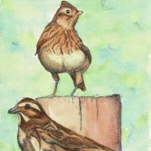 Mixed media painting of 2 birds on posts