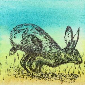 Ink over watercolour painting of a sprinting hare