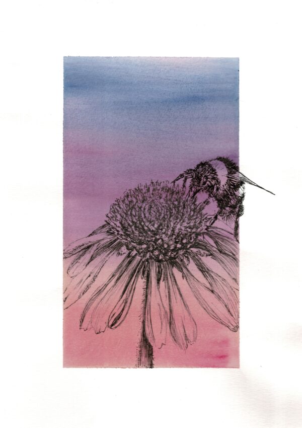 Beeleigh Buzz and Bloom