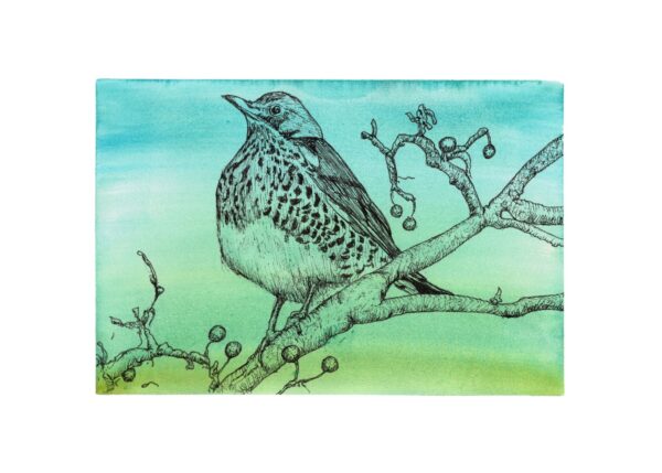 Fieldfare's Feast
