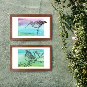 Prints & Cards