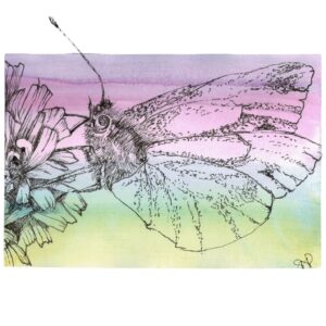 butterfly painting