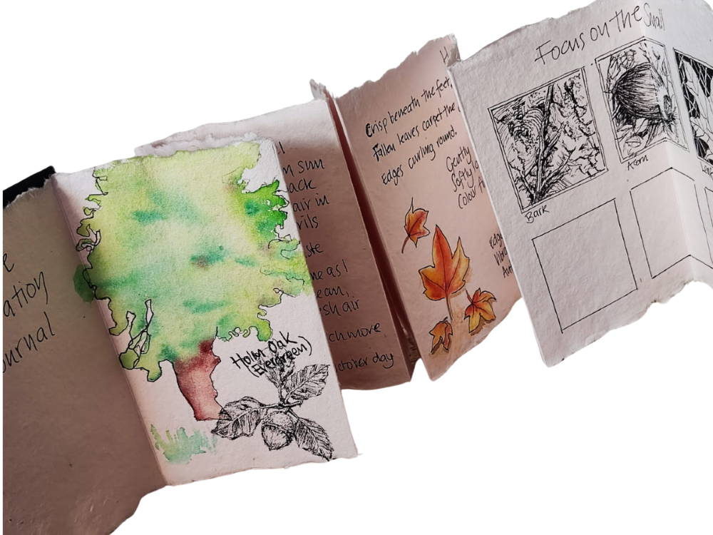 Your Nature Journal - Image 2
